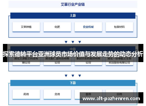 探索德转平台亚洲球员市场价值与发展走势的动态分析 探索德转平台亚洲球员市场价值与发展走势的动态分析