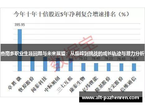 费南多职业生涯回顾与未来展望：从巅峰到挑战的成长轨迹与潜力分析